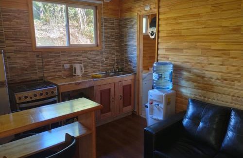 Hornopiren National Park Apartamento | Cabañas Mirador del Puma