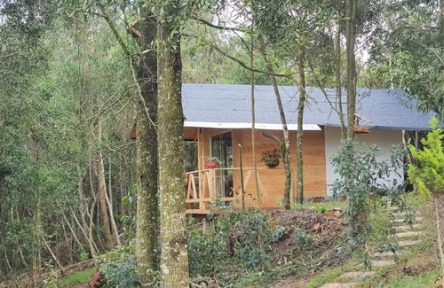 Medellin Apartamento | Cabañas Piedemonte