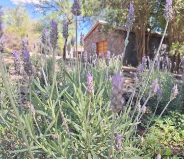 La Serranita Apartamento | Cabañas Posada del Angel
