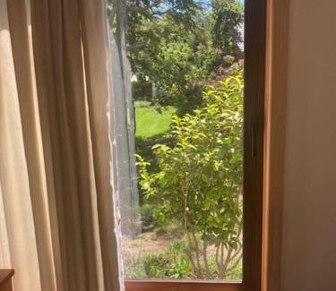 Conaripe Casa | Cabañas Ruka Rayun con acceso al lago en Coñaripe