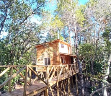 Pinto Chalet De Esquí | Cabañita Del Árbol Concón
