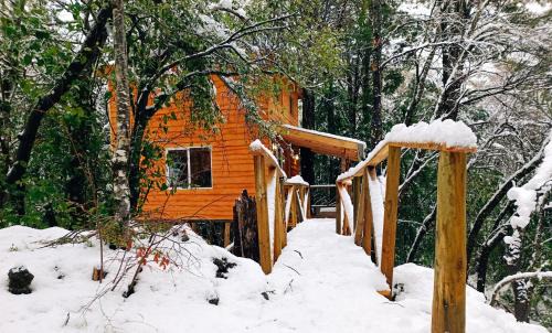 Pinto Chalet De Esquí | Cabañita Del Árbol Concón