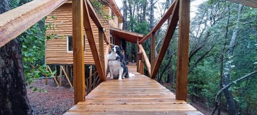 Pinto Chalet De Esquí | Cabañita Del Árbol Concón