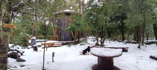 Pinto Chalet De Esquí | Cabañita Del Árbol