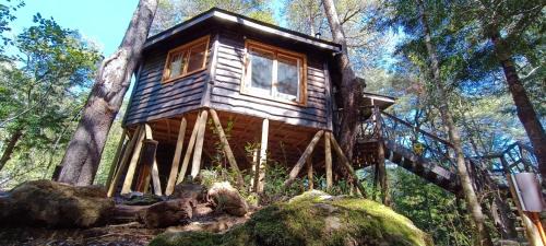 Pinto Chalet De Esquí | Cabañita Del Árbol