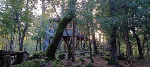 Pinto Chalet De Esquí | Cabañita Del Árbol