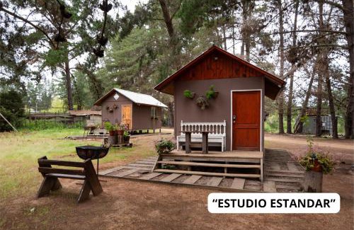 El Quisco Cabina | Cabañitas del Bosque