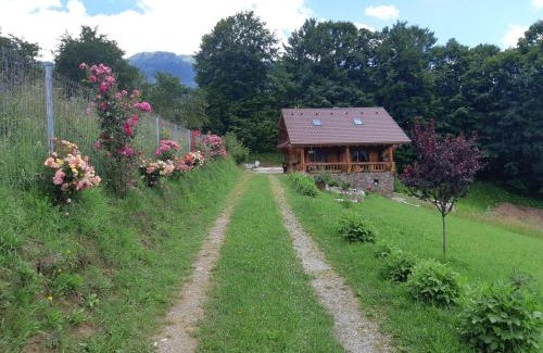 Bran Casa | Cabana Adierea Vantului Bran