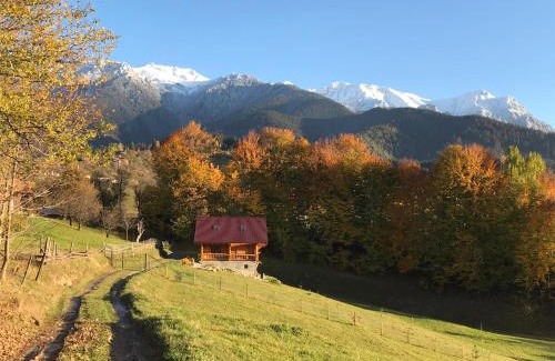 Bran Casa | Cabana Adierea Vantului Bran