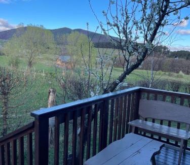 Rasinari Casa | Cabana Apple Garden Rășinari