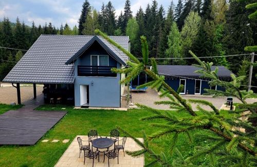 Dorna Candrenilor Casa | Cabana Brazilor