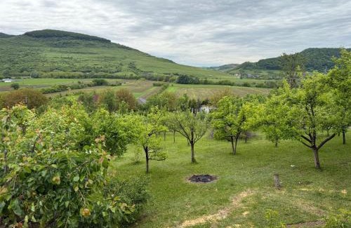 Mintiu Gherlii Chalet De Esquí | Cabana cu Livada
