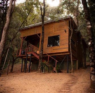 Cambui Chalet De Esquí | Cabana das Árvores nos Olivais Santa Clara