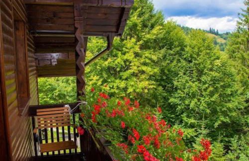 Campulung Moldovenesc Casa | Cabana din poiană