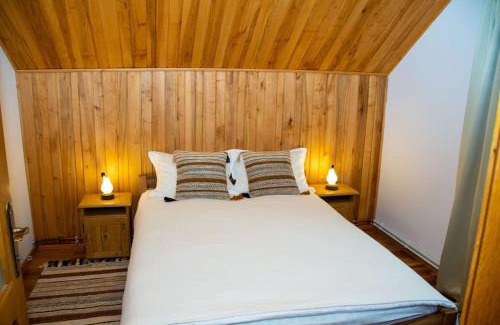 Campulung Moldovenesc Casa | Cabana din poiană