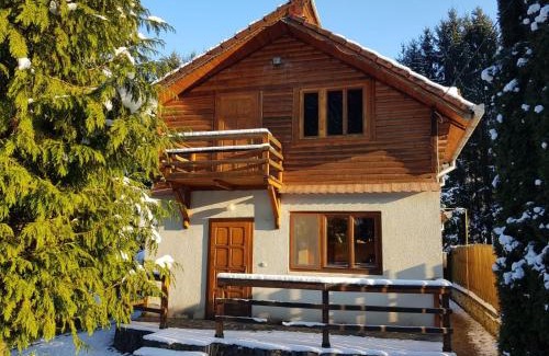 Vetel Casa | Cabana dintre Brazi