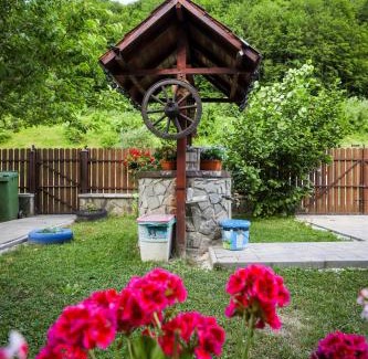 Valea Doftanei Casa | Cabana Emana