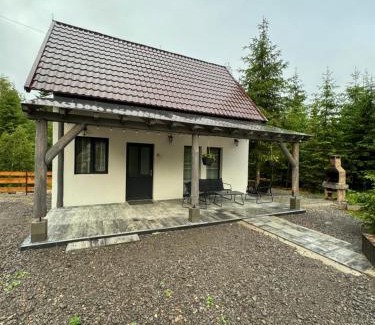 Sincraieni Casa | Cabana home
