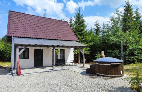 Sincraieni Casa | Cabana home