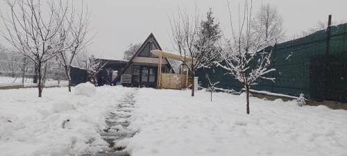 Magureni Casa | Cabana La Bica