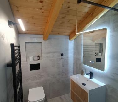 Sangeorz-Bai Casa | Cabana Liniștea Carpaților