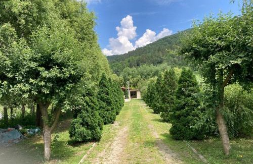 Taga Casa | Cabana lui Banică