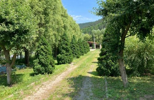 Taga Casa | Cabana lui Banică