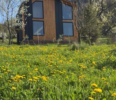 Gura Teghii Casa | Cabana Magic Pine Nest