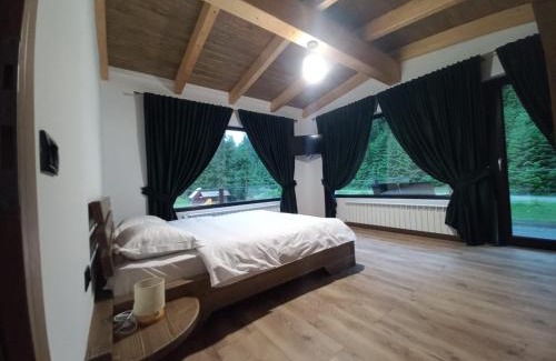 Borsa Casa | CABANA NEMTUCU