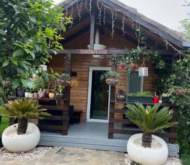 Corbu Cabina | Cabana Sorina
