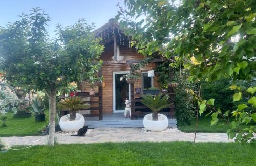 Corbu Cabina | Cabana Sorina