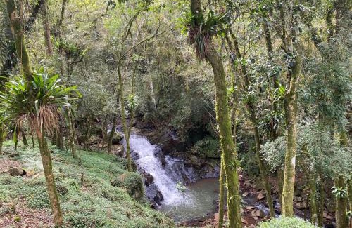 Videira Cabina | Cabana Vale das Bromélias