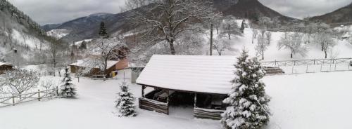 Rau Sadului Casa | Cabana Valea Sadului