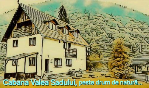 Rau Sadului Casa | Cabana Valea Sadului