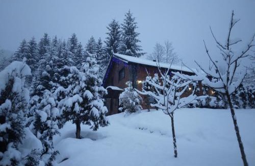 Borsa Casa | Cabana Vasc