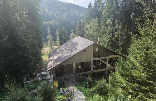 Arefu Cabina | Cabana Zimbru Transfagarasan