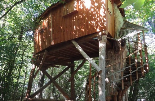 Haute-Saintonge Cabaña | Cabane Isabelle - Ile aux Cabanes 2 pers