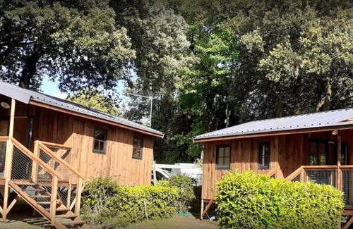 Meschers-sur-Gironde Chalet De Esquí | Cabane Vue Mer & SPA à Bulles
