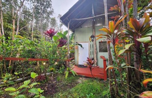 Fern Forest Casa | Cabin 2-Rustic private stay near Volcano National Park