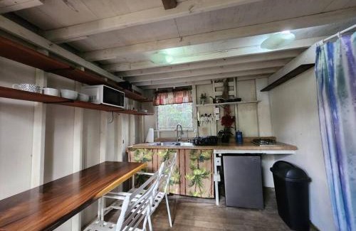 Fern Forest Casa | Cabin 2-Rustic private stay near Volcano National Park