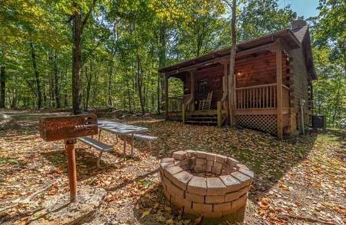 Stanardsville Cabina | Cabin #8 - The Shadows | 1 Bed, 1 Bath