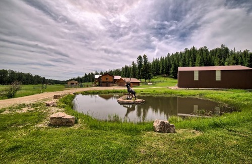 Nemo Cabina | Cabin close to Nemo, private stocked pond and hot tub great for families!