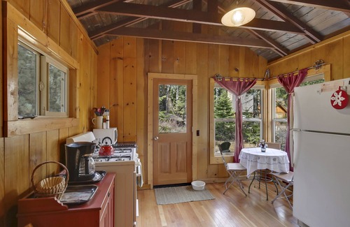 Sunnyside Cabina | Cabin Fever - 1 bed, 1 bath * fireplace