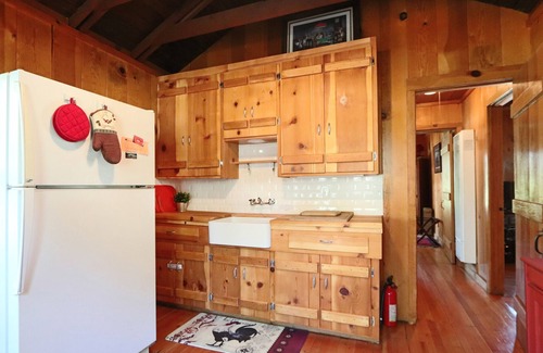 Sunnyside Cabina | Cabin Fever - 1 bed, 1 bath * fireplace