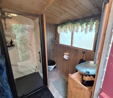 Charing Casa | CABIN in hosts huge garden CHILD FRIENDLY with Hens Cats firepit Marshmallows Pool