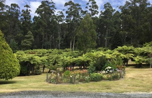 Pipers River Apartamento | Cabin in the Tasmanian Bush - Tranquility!