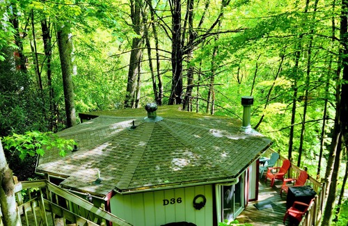 Mill Ridge Cabina | Cabin in the Trees
