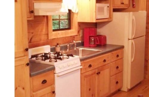 Hendersonville Casa | Cabin in the Woods-Peaceful 1BR 20-Acre Rural Retreat-HotTub&WiFi near Asheville