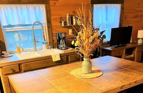 Van Cabina | Cabin Near Canton Trade Days - Quiet Retreat with Country Charm!