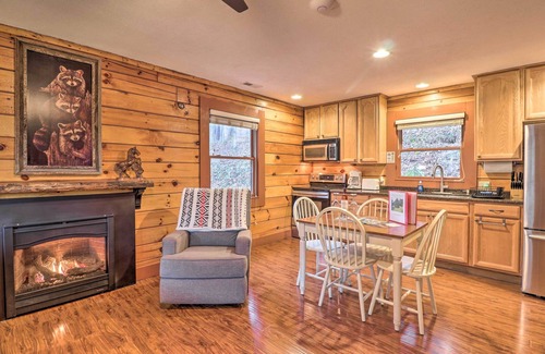 Asheville Cabina | Cozy Waynesville Cabin w/ Community Amenities!